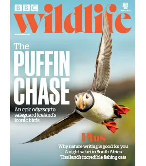 BBC Wildlife Magazine May 2024