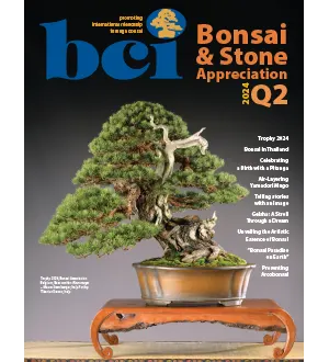 BCI Bonsai Stone Appreciation Magazine Volume 63 Number 2 Quarter 2 April May June 2024