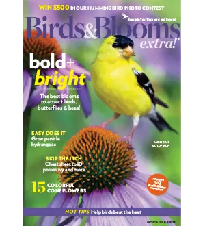 Birds and Blooms Extra July 2024