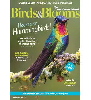 Birds Blooms June July 2024