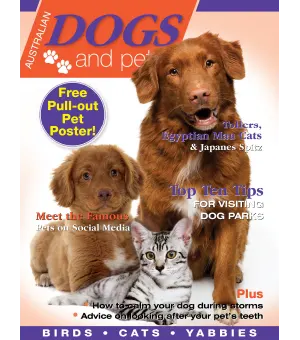 Dogs and Pets June 2024