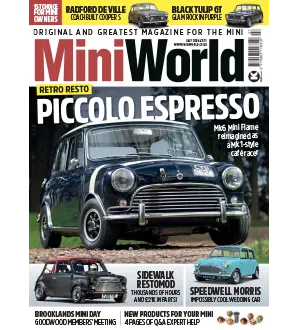Mini World July 2024