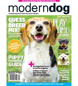 Modern Dog USA Spring Summer 2024