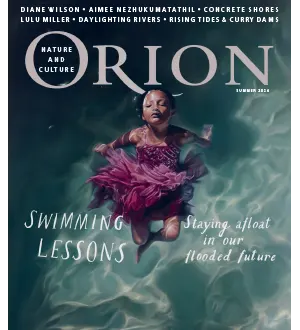 Orion Summer 2024