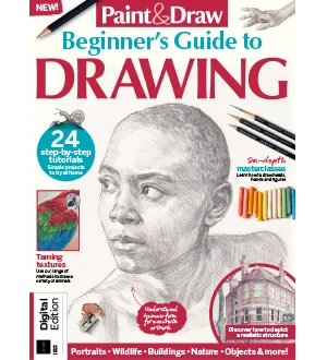 Paint Draw Beginners Guide to Drawing 2nd Edition 2024