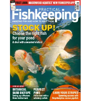 Practical Fishkeeping June 2024