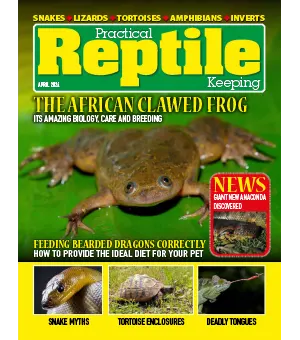 Practical Reptile Keeping April 2024