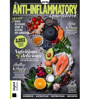 The Anti Inflammatory Guidebook 2nd Edition 2024