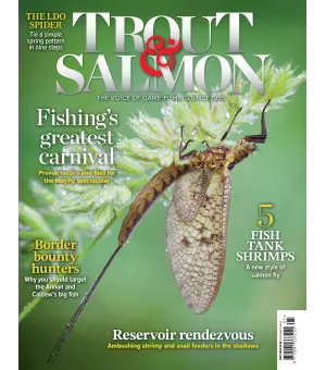 Trout Salmon May 2024