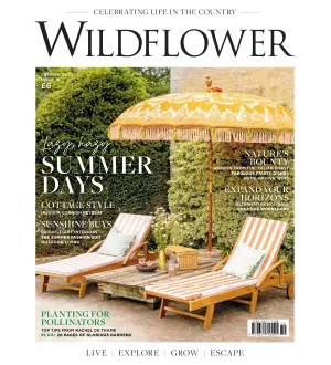 Wildflower Magazine Issue 18 Summer 2024