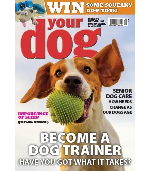 Your Dog June 2024