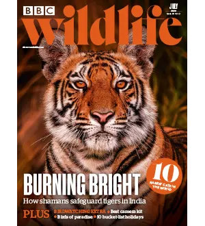 BBC Wildlife Magazine July 2024