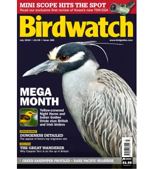 Birdwatch UK Issue 385 July 2024