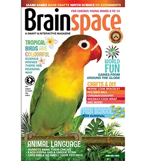 Brainspace June July 2024