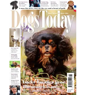 Dogs Today UK June 2024