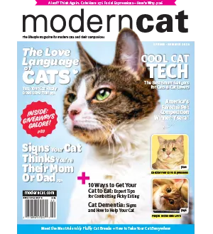 Modern Cat USA Spring Summer 2024