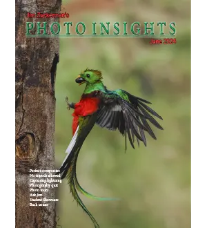 Photo Insights June 2024