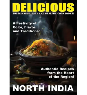 Taste of North India Delicious 2024