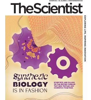 The Scientist Summer 2024
