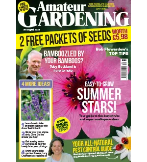 Amateur Gardening 3 August 2024