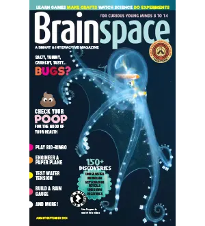 Brainspace August September 2024
