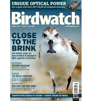 Birdwatch UK August 2024