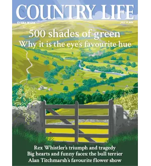 Country Life UK July 17 2024