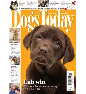 Dogs Today UK July 2024