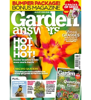 Garden Answers August 2024