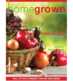Homegrown Issue 13 2024