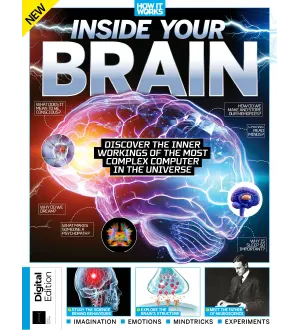 How It Works Inside Your Brain 5th Edition 2024