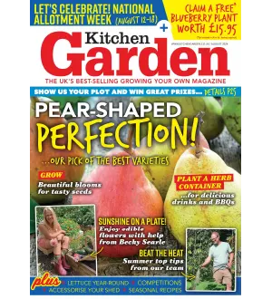 Kitchen Garden August 2024