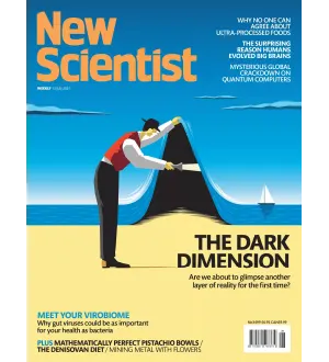 New Scientist International Edition 13 July 2024