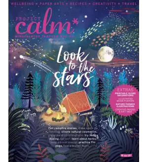 Project Calm Look to the Stars 2024