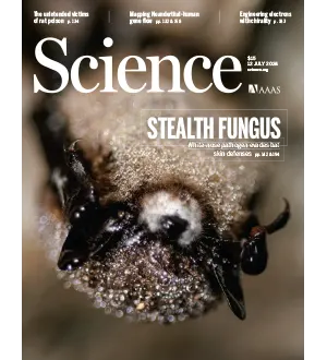 Science 12 July 2024