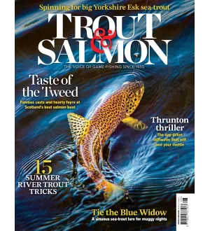 Trout Salmon August 2024
