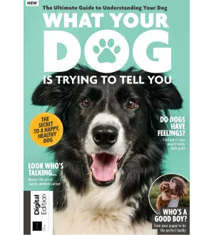 What Your Dog is Trying to Tell You 6th Edition 2024