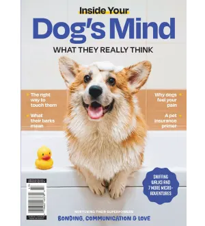 Inside Your Dogs Mind 2nd Edition 2024