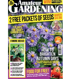 Amateur Gardening   31 August 2024