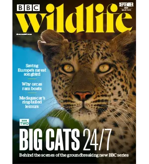 BBC Wildlife   September 2024