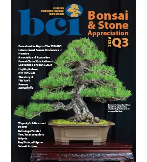 BCI Bonsai & Stone Appreciation Magazine   Volume 63 Number 3, Quarter 3, July August September 2024