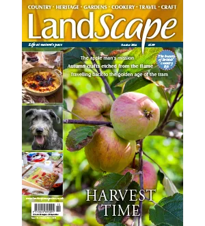 Landscape UK October 2024
