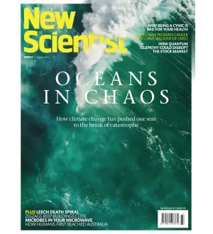 New Scientist International   17 August 2024