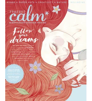 Project Calm   Follow Your Dreams 2024