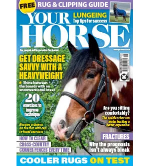 Your Horse   September 2024