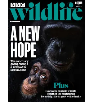 BBC Wildlife October 2024