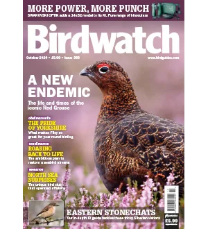 Birdwatch UK October 2024