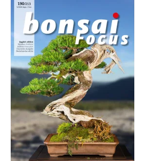 Bonsai Focus September October 2024