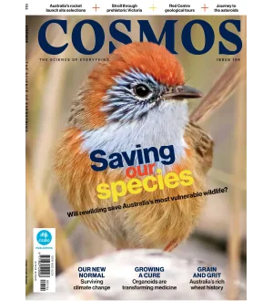 Cosmos Magazine Issue 104 Spring 2024