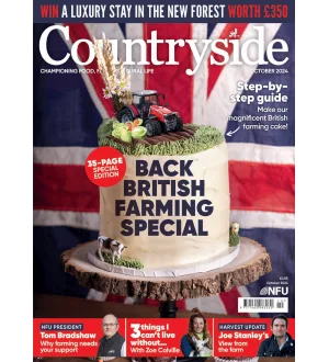 Countryside October 2024